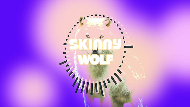 SkinnyWolf - Not Me